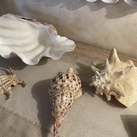 公寓 Tania Luxury - Borgo San Basilio 马里纳皮斯蒂奇